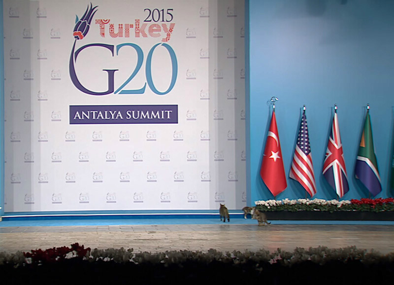 ��ֻ؈����G20������� �@�⡰؈������